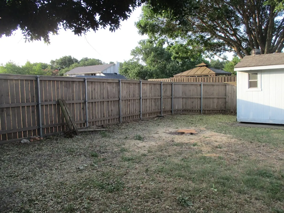 Cleared yard after professional tree removal in Saint James City